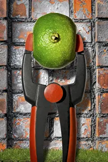 Deserted Grocery Store Drucke: Composition: to squeeze the orange dry