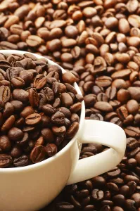 Hot Beverage Photography Drucke: Composition with white cup and coffee beans