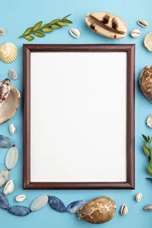 Wooden Frame Still Life Drucke: Composition with wooden frame, seashells