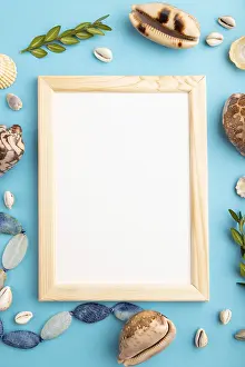 Wooden Frame Still Life Drucke: Composition with wooden frame, seashells