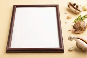 Boxwood Decoration Drucke: Composition with wooden frame, seashells