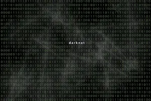 Computer Crime Scene Drucke: Computer matrix with word Darknet, Germany