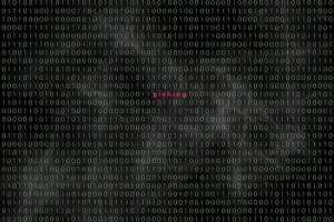 Data Transmission Network Drucke: Computer matrix with word Pishing, Germany