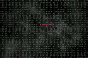 Computer Crime Prevention Drucke: Computer matrix with word security