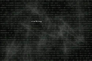 Cybercrime Germany Drucke: Computer matrix with word stalking, Germany