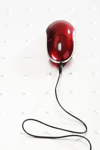 Computer Mouse Drucke: Computer mouse