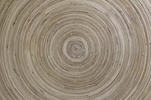 Wooden Structure Patterns Drucke: Concentric pattern of wood, with warm tones and clear