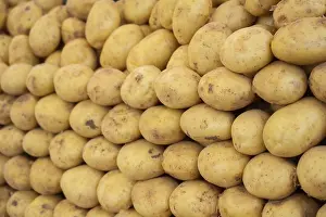 Fresh Vegetables Concept Drucke: The concept of fresh vegetables