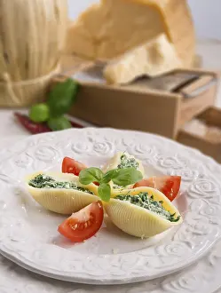 Parmesan Cheese Plate Drucke: Conchiglioni