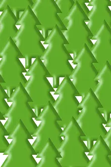 Coniferous Forest Drucke: A coniferous forest - graphic