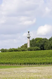 Bavaria Agricultural Crop Drucke: Constitution Column, Gaibach, Field