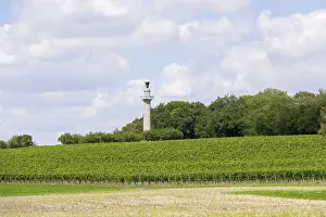 Vineyard Landscape Germany Drucke: Constitution Column, Gaibach, Field