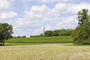 Vineyard Landscape Germany Drucke: Constitution Column, Gaibach, Field