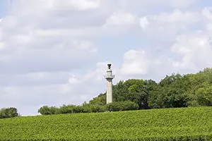 Vineyard In Lower Franconia Drucke: Constitution Column, Gaibach, Vineyard