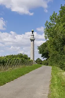 Grapevine Cultivation Europe Drucke: Constitution Column, Gaibach, Way