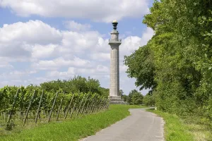 Central Europe Agricultural Scene Drucke: Constitution Column, Gaibach, Way