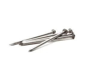 Construction Work Images Drucke: Construction nails isolated on a white background