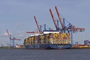 Drucke von Containerfrachter, Containerterminal Burchardkai, Elbe, Hamburg, Deutschland Hamburg Drucke: Containerfrachter, Containerterminal Burchardkai