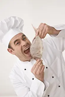Drucke von Ein Koch beißt in ein rohes Fischstück Meerbrasse Drucke: Ein Koch beißt in ein rohes Fischstück.