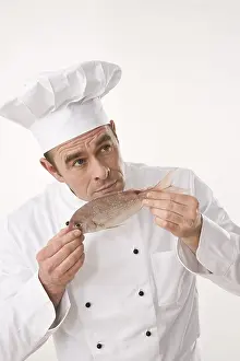 Studio Shot Of A Cook Drucke: Cook smelling a fish