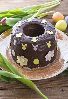 Baked Goods Drucke: The cooked Babka (cake)
