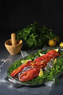 Appetizing Seafood Dishes Drucke: The cooked lobster on ice