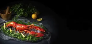 Cooked Lobster Drucke: The cooked lobster on ice