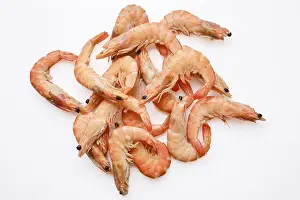 Gourmet Seafood Platter Drucke: Cooked whole shrimp on a clean white surface