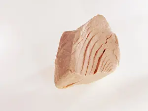 Studio Background Cuisine Drucke: Cooked tuna