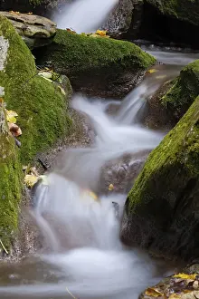 Deserted Creek Scene Drucke: Cool water streaming down