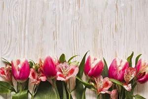 Spring Blooming Flowers Drucke: Copy space tulips table