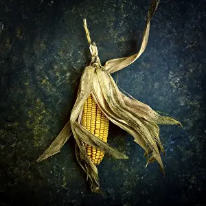Plain Background Plants Drucke: Corn on the cob