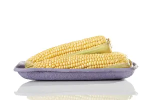 Studio Vegetable Shots Drucke: Corn on the cob (Zea mays)