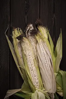 View From Above Food Drucke: Corn cobs, on a wooden table, top view