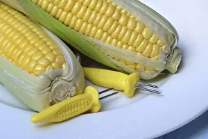 Studio Shot Of Corn Drucke: Corn corn cob and corn cob holder on plate