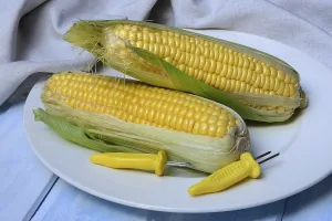 Corn Cob Photography Drucke: Corn corn cob and corn cob holder on plate