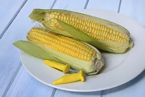 Food Still Life Studio Drucke: Corn corn cob and corn cob holder on plate