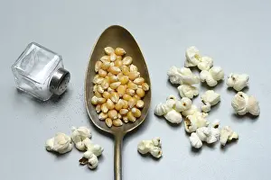 Snack Food Drucke: Corn (Zea mays) kernels in spoon and popcorn
