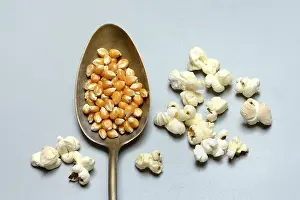 Snack Food Images Drucke: Corn (Zea mays) kernels in spoon and popcorn