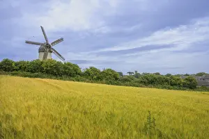 Grain Field Photography Europe Drucke: Cornfield and the Great Windmill