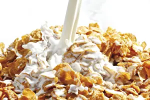 Studio Shot Breakfast Dish Drucke: Cornflakes with milk