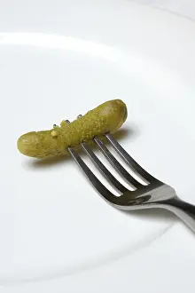 Cucumber Still Life Drucke: Cornichon, fork with cucumber on plate, Germany
