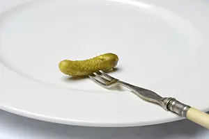 Healthy Eating Habits Europe Drucke: Cornichon, fork with cucumber on plate, Germany