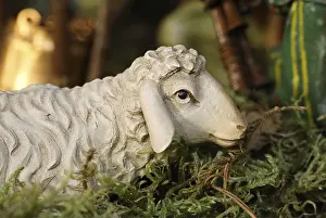 Krippe Drucke: Kot-Figur, Schaf