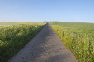 Central European Countryside Drucke: Country lane between fields in spring