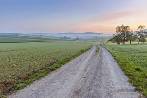 Bavaria Countryside Drucke: Countryside with field path in spring at dawn