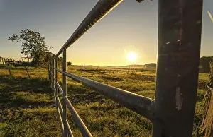 Sunset In The Countryside Drucke: In the countryside, at a gate to a paddock at sunset