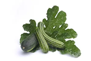 Plain Background Food Image Drucke: Courgette, courgette