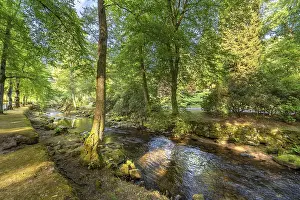 Central European River Course Drucke: Course of the river Enz in summer