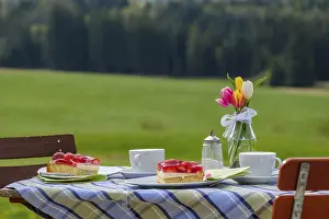 Southern Germany Countryside Scenery Drucke: Covered coffee table, coffee and cake